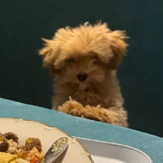 Sticker Больше стикеров 👉🏻 @stickertg4 - 3