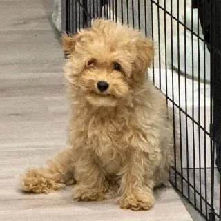 Sticker Больше стикеров 👉🏻 @stickertg4 - 1