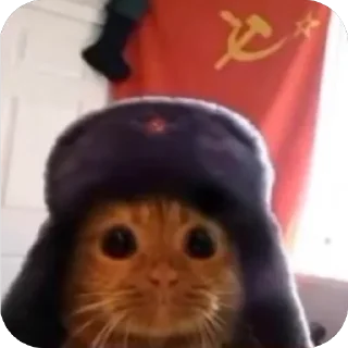 Стикер Больше стиков тут: @stikery4 - 11