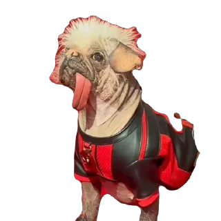 Sticker Чумачечные 🚨 - 0