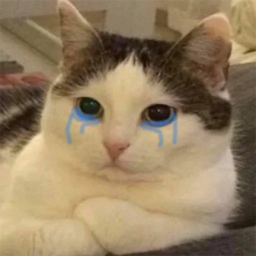 Стикер kylzdwmmow_by_WeStickerbot - 1