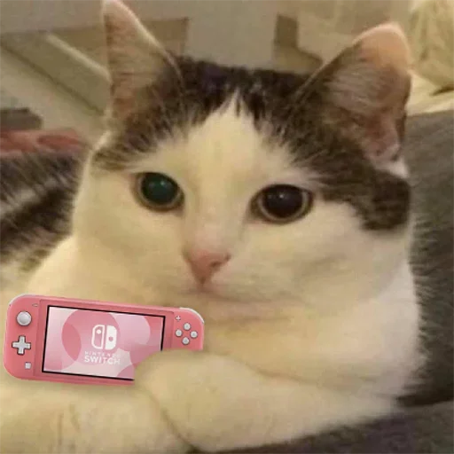 Стикер kylzdwmmow_by_WeStickerbot - 1