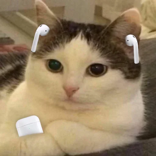 Sticker kylzdwmmow_by_WeStickerbot - 1