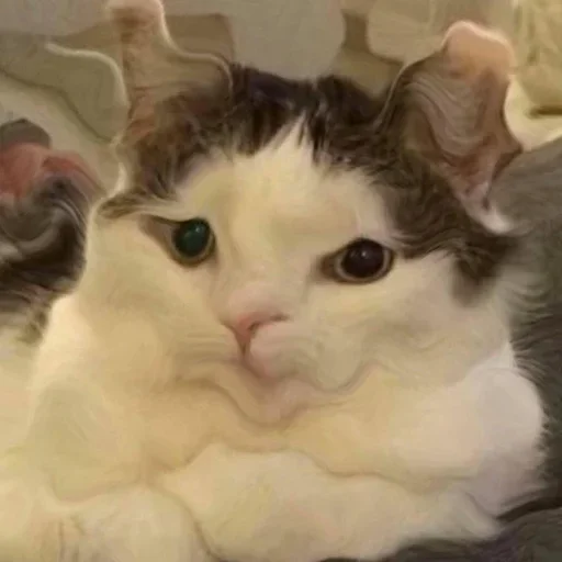 Стикер kylzdwmmow_by_WeStickerbot - 1