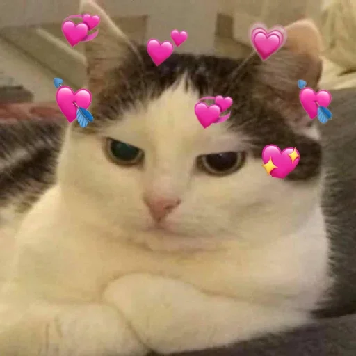 Стикер kylzdwmmow_by_WeStickerbot - 1