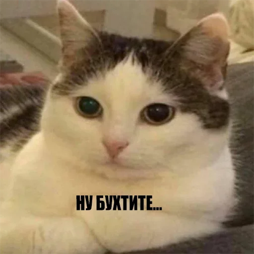 Sticker kylzdwmmow_by_WeStickerbot - 1