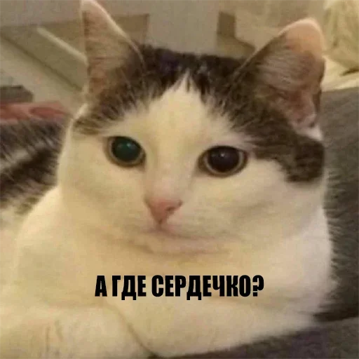 Sticker kylzdwmmow_by_WeStickerbot - 1