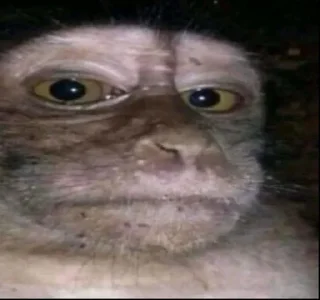 Стикер @roflan_serega - 8