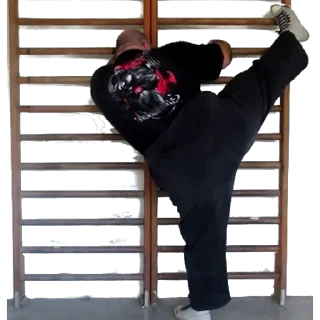 Стикер Kyriakos "Grizzly" Kapakoulak - 1