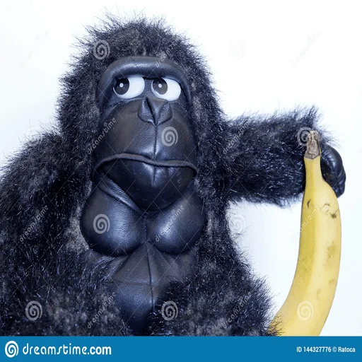 banana monkey mammal