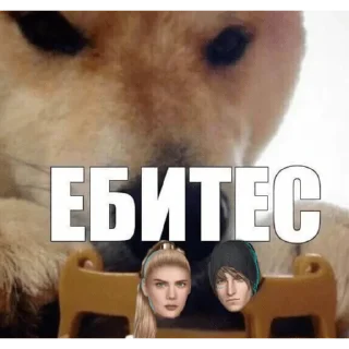 Sticker хатаЙонаса by @stqrapp - 11