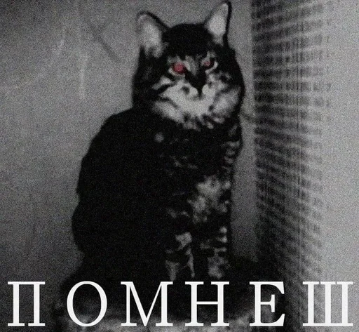 Sticker lBIhvWphFd_by_stickers_stealer_bot - 1