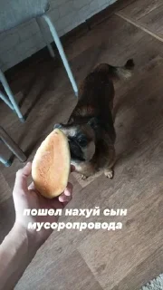 Sticker Создай свои стикеры - @sozdsti_bot - 10