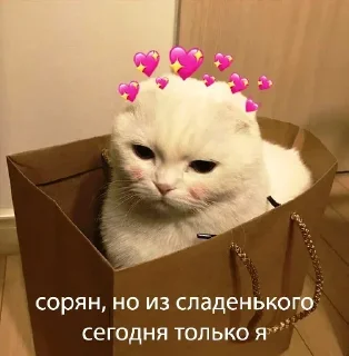 Sticker Стикеры👉 @stikeru7777 - 2