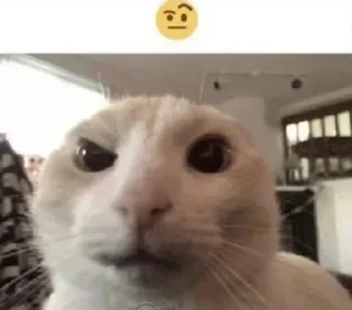 Sticker Больше стикеров 👉🏻 @stickertg4 - 9