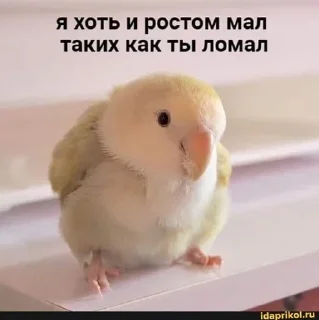 Sticker Больше стиков тут: @stikery4 - 8