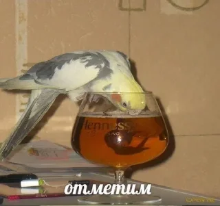 Sticker Больше стиков тут: @stikery4 - 3