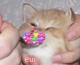 Sticker Больше стиков тут: @stikery4 - 1