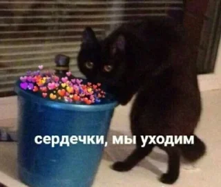 Sticker Больше стиков тут: @stikery4 - 2