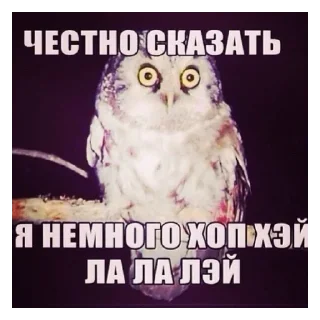 Sticker lIU_oi84a5 - 11