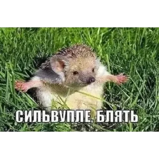 Sticker lIU_oi84a5 - 0