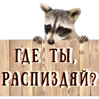 Стикер 123 - 6