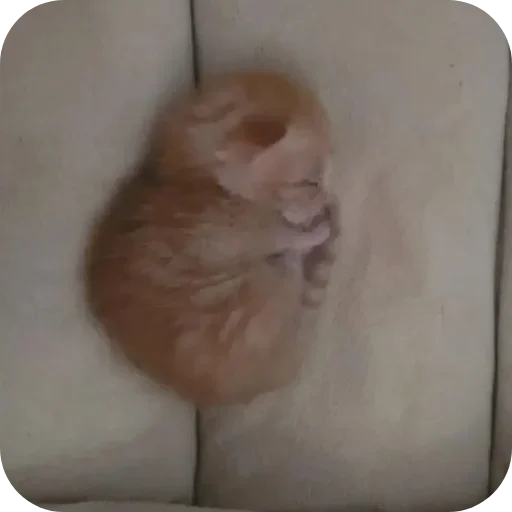 Больше стиков тут: @stikery4 - 