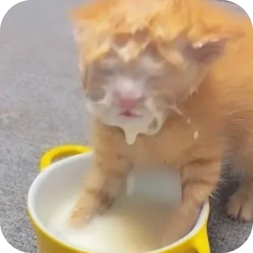 Sticker lSBQoeD_by_achestickbot - 1