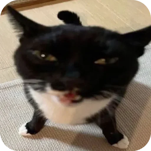 Sticker lSBQoeD_by_achestickbot - 1