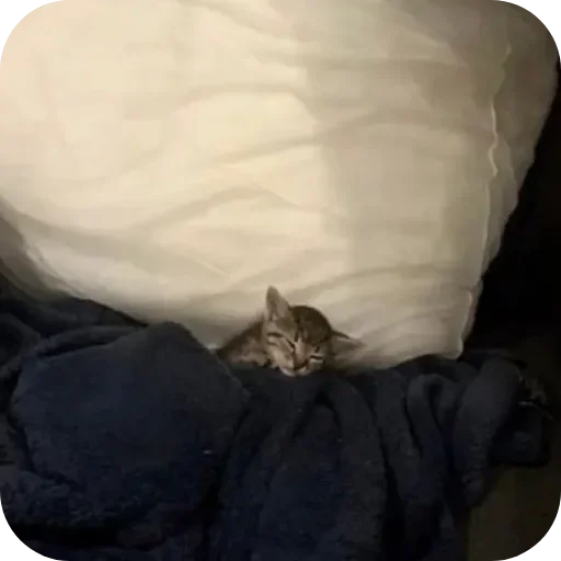 Sticker lSBQoeD_by_achestickbot - 1