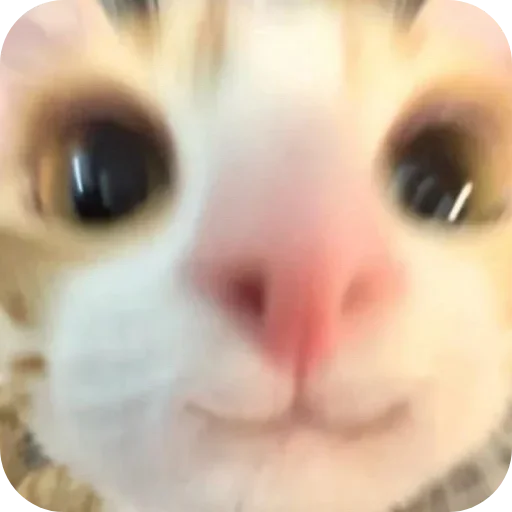 Sticker lSBQoeD_by_achestickbot - 1