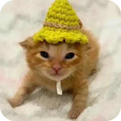 Sticker lSBQoeD_by_achestickbot - 1