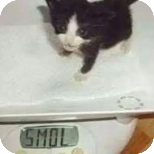 Sticker lSBQoeD_by_achestickbot - 1