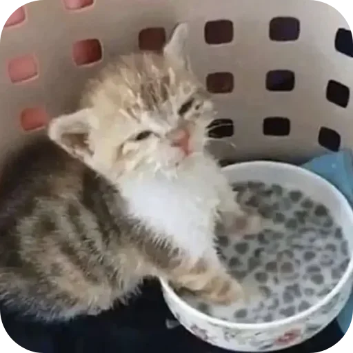 Sticker lSBQoeD_by_achestickbot - 1