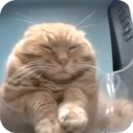 Sticker lSBQoeD_by_achestickbot - 1