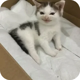 Sticker Больше стиков тут: @stikery4 - 7