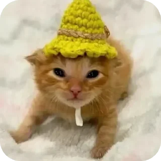 Sticker Больше стиков тут: @stikery4 - 5