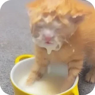 Sticker Больше стиков тут: @stikery4 - 11