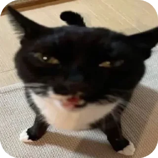 Sticker Больше стиков тут: @stikery4 - 10