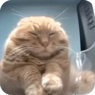 Sticker Больше стиков тут: @stikery4 - 1