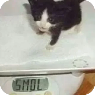 Sticker Больше стиков тут: @stikery4 - 4