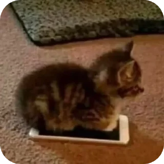 Sticker Больше стиков тут: @stikery4 - 9