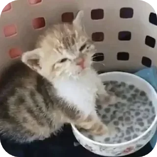 Sticker Больше стиков тут: @stikery4 - 2