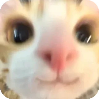 Sticker Больше стиков тут: @stikery4 - 6