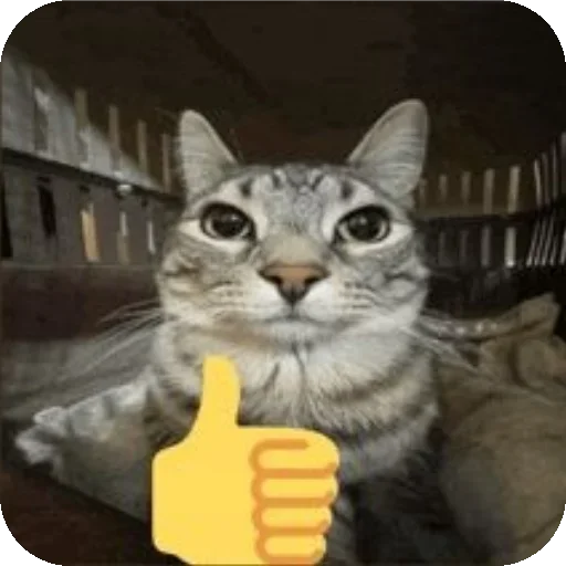 Стикер lTKKwfO_by_achestickbot - 1