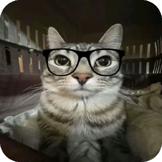 Sticker Больше стиков тут: @stikery4 - 2