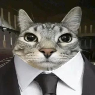 Sticker Больше стиков тут: @stikery4 - 3