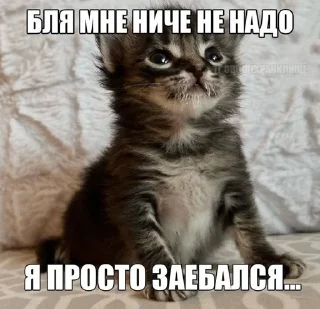 Sticker утик - 5