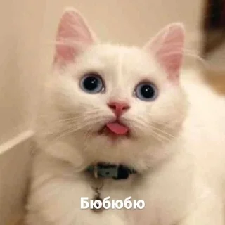 Sticker утик - 6