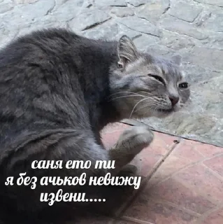 Sticker утик - 3